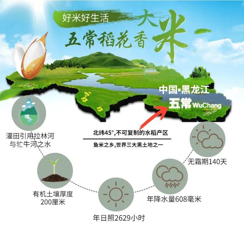 舌尖上的中国都说最好_五常_色泽_稻米