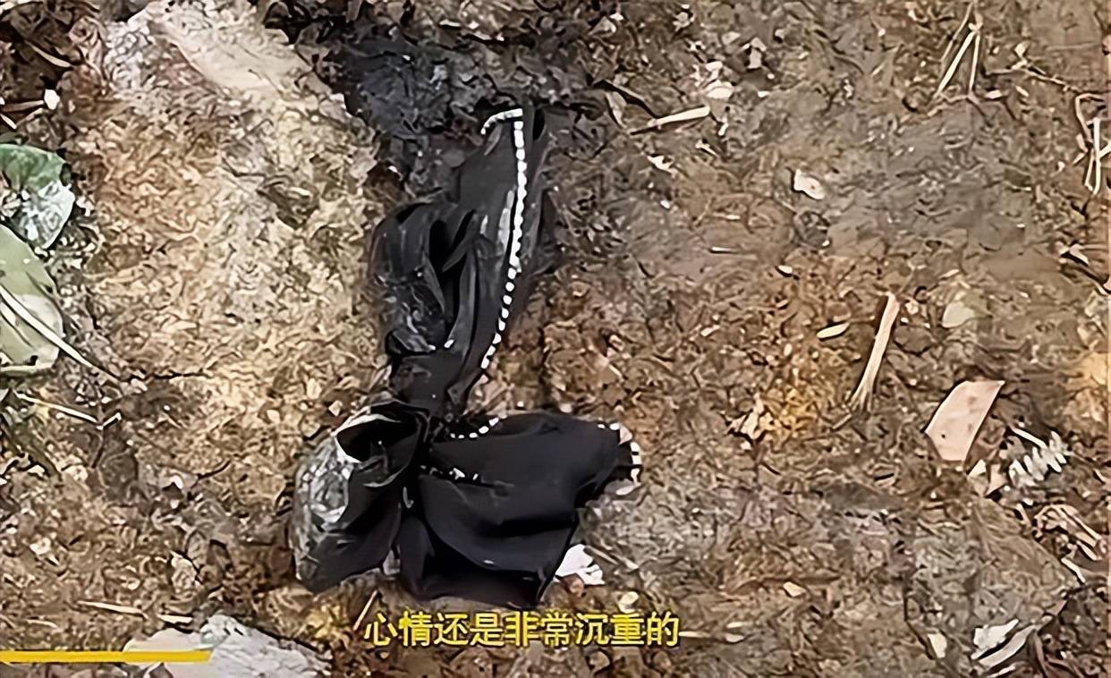 事故发生之后,蝴蝶结女孩的男友发声,他说两个人是异地恋,一个在云南