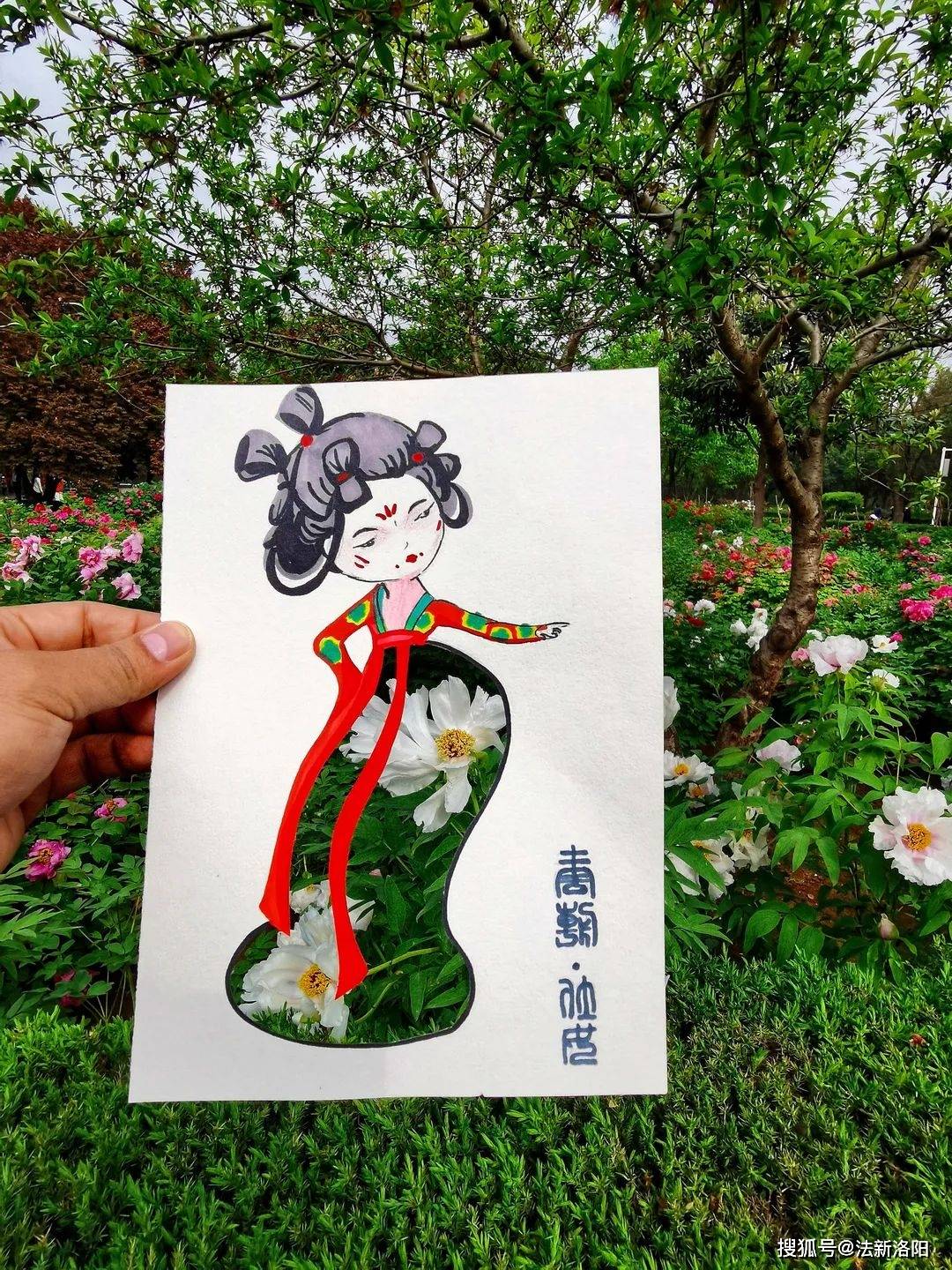 束春光把洛阳的春天穿在身上…太美了
