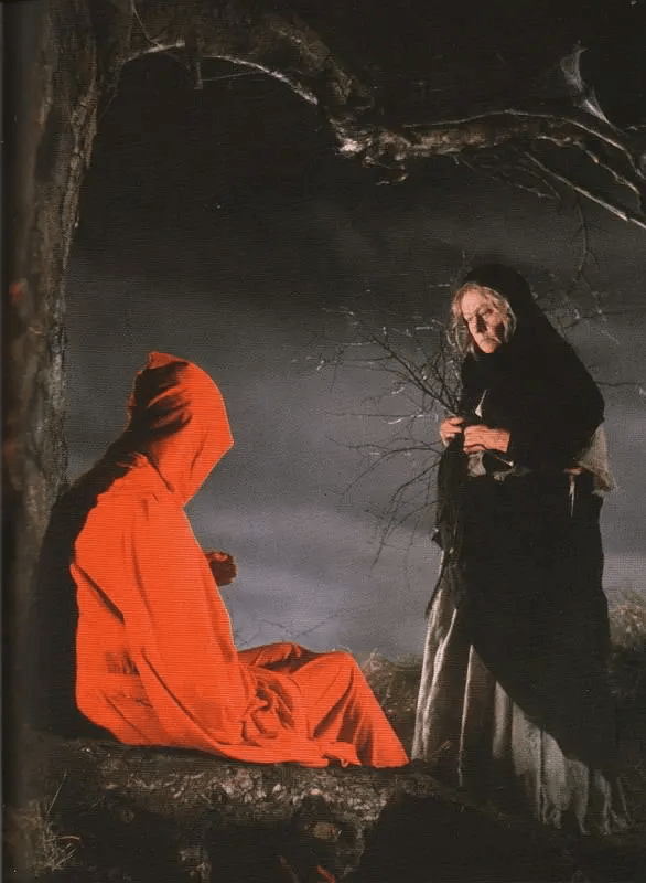 爱伦坡b级哥特恐怖片_帕斯伯_强权_电影