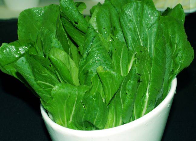 原创春季补钙吃什么专家除了牛奶酸奶还有2种绿叶菜