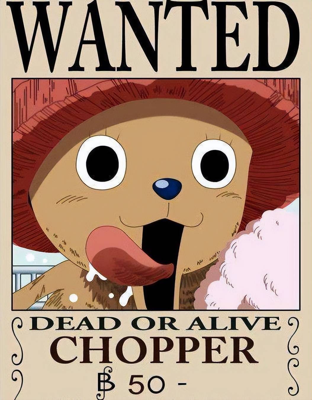 海贼王中四张特殊悬赏令两个性价比极高最后一个是谜