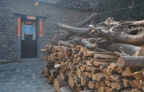 当家中有蛇闯入 要不要驱赶出去 驱蛇要用竹竿才好 为什么 木棍 铁器 不速之客