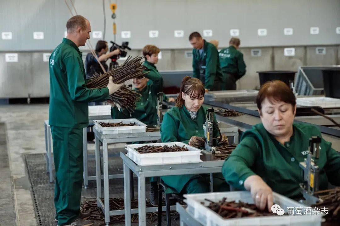 库班|黑海边上的诗与酒——俄罗斯葡萄酒如何延续了2000年？