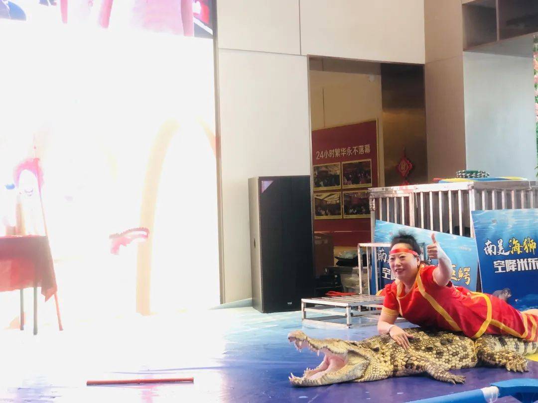新城地产米东吾悦广场 ｜ 人鳄大战 & 南美海狮 吾悦让一切皆有可能_手机搜狐网