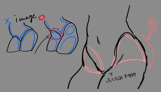 屁股位置總畫不對教你大腿胯部連接處畫法要點