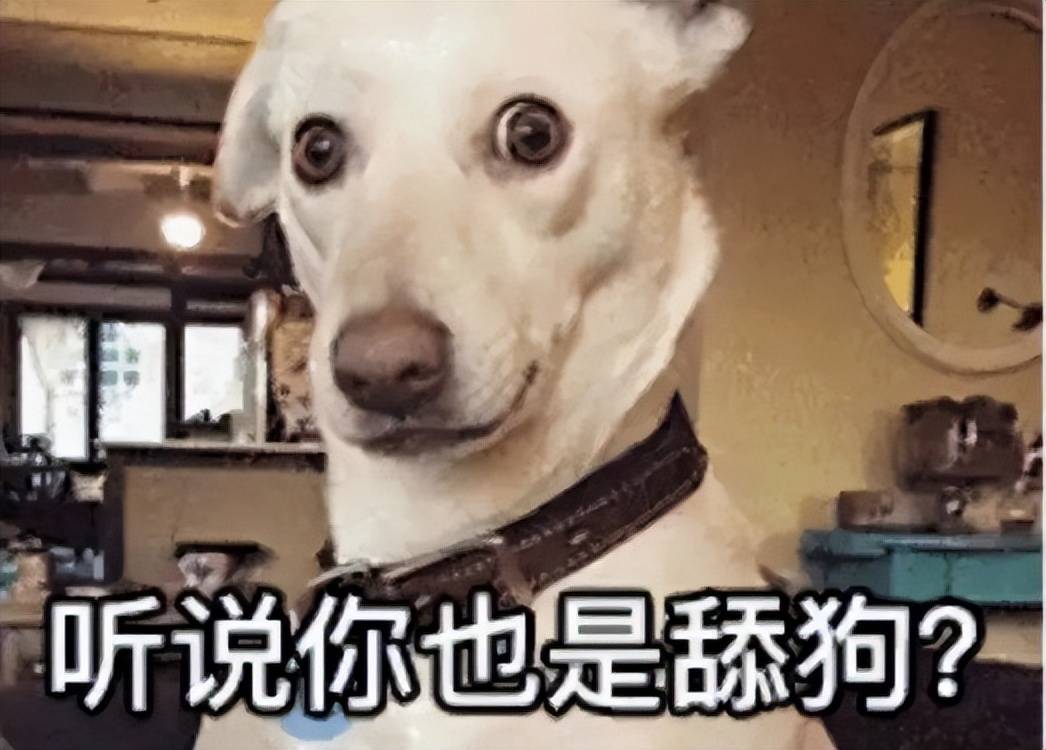 原创9个字拿捏心仪女神1年狂舔675位女神舔狗之王到底有多厉害