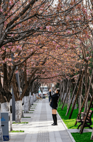 城中|西安航天基地：花草芳菲春意浓