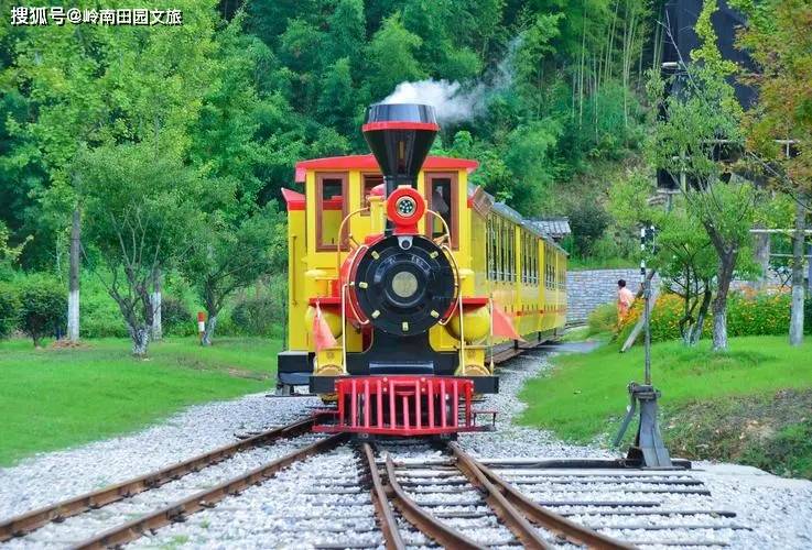 鲁家村_乡村_家庭农场