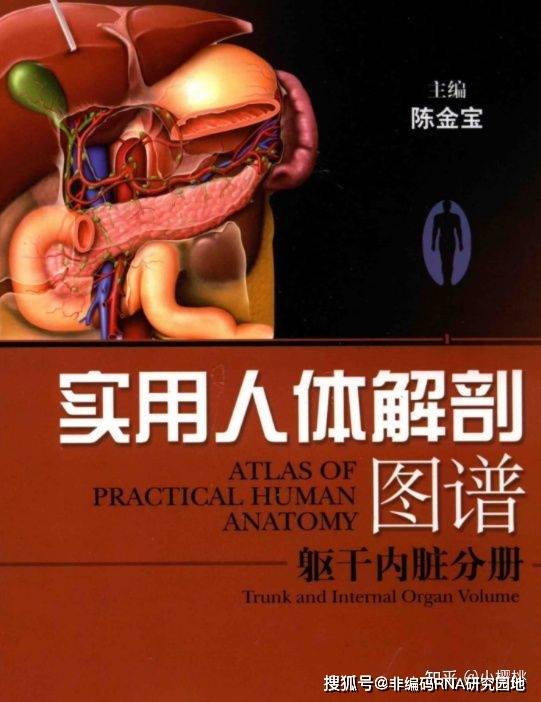 資源共享史上最牛醫學圖譜實用人體解剖圖譜限時領取快來一起看看吧