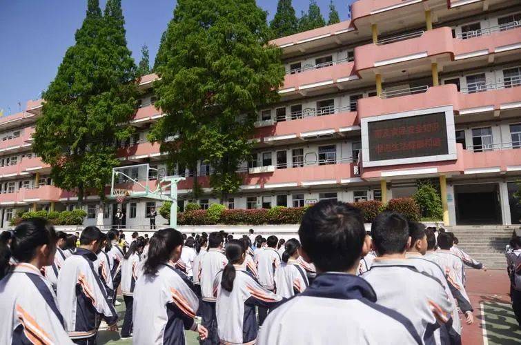 志愿_考生_初中