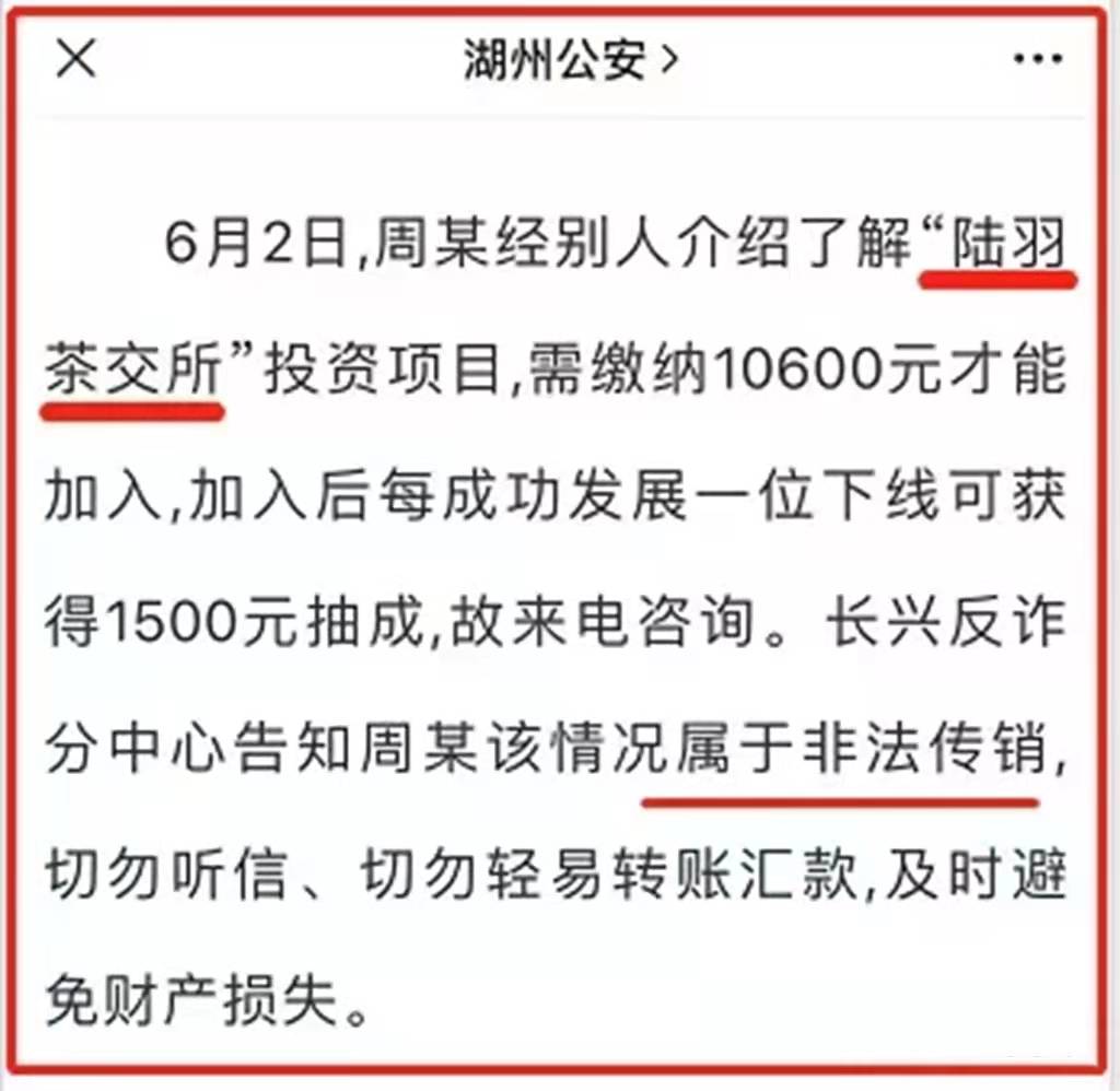 陆羽茶交所遭多地方警示:打着国资背景搞传销非法集资(图8)