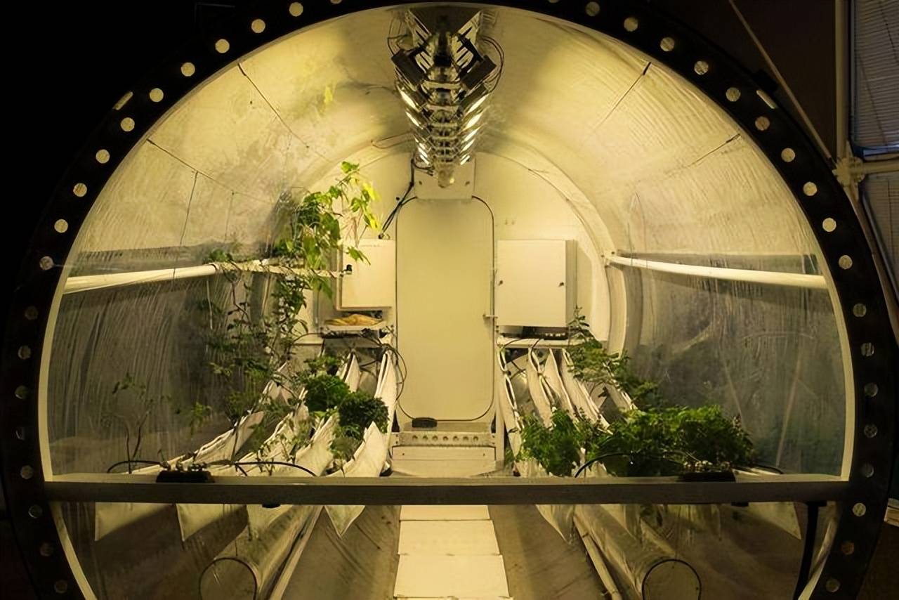 30年前,科学家将4男4女关在封闭空间,进行一项奇怪的实验