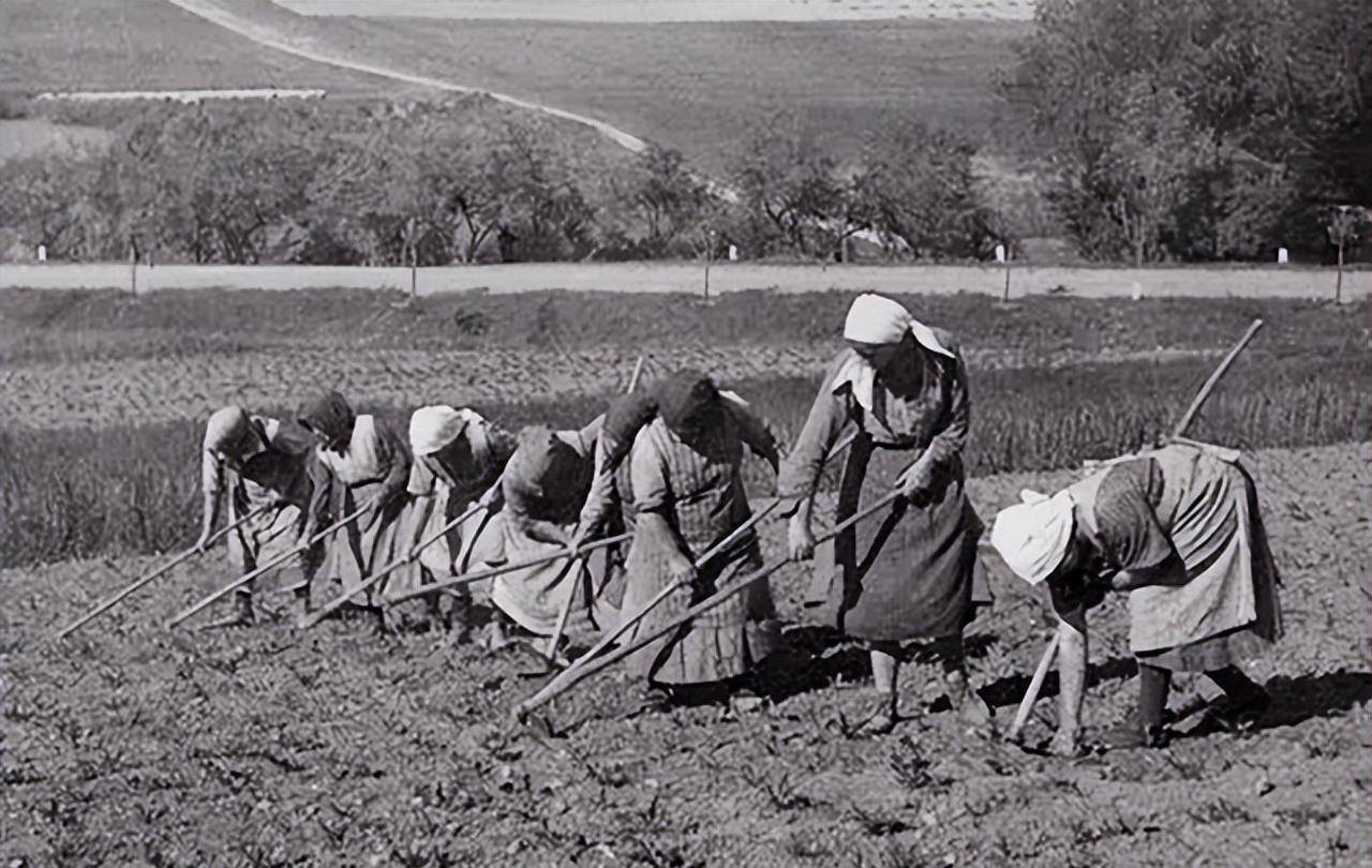 人类文明迄今为止只经历过两个时代,分别是"农业时代"和"工业时代".