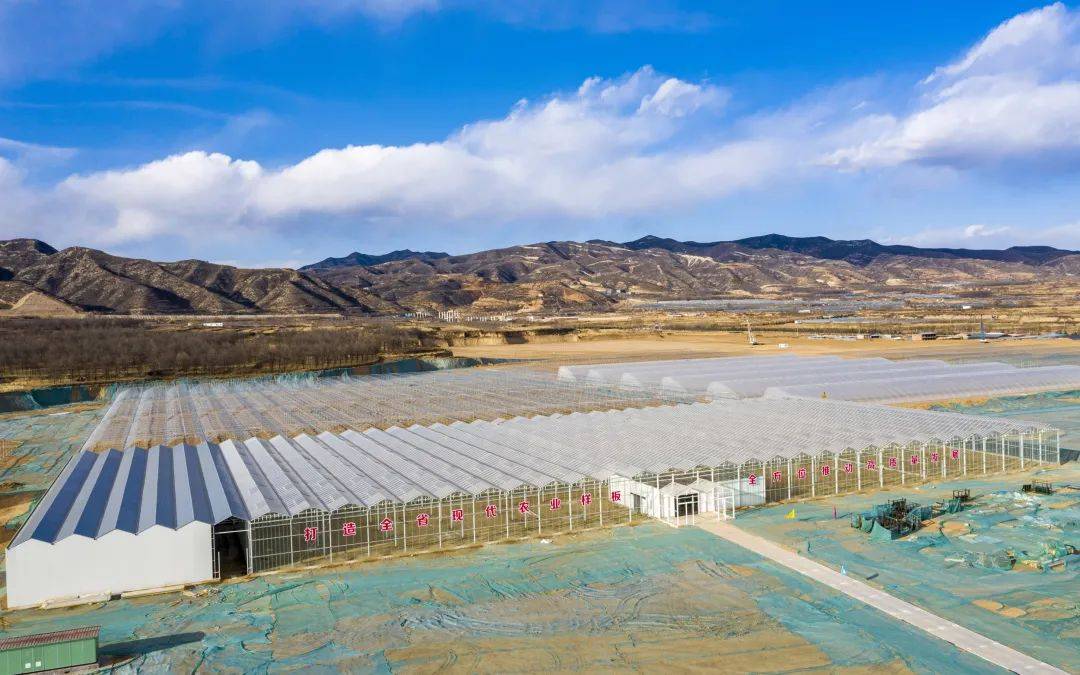 阳曲县积极打造现代农业产业亮丽新名片_种植_示范_施工人员