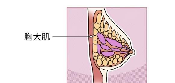 按摩能豐胸?3種豐胸產品是騙局,女孩們別花冤枉錢_乳房_胸部_女性