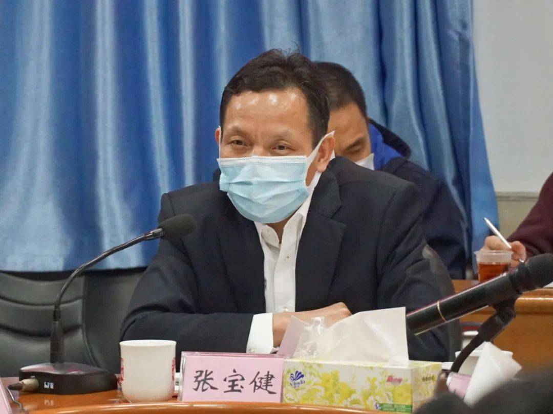 佛山市委第一巡察组组长张宝健进行指导讲话,张槎街道