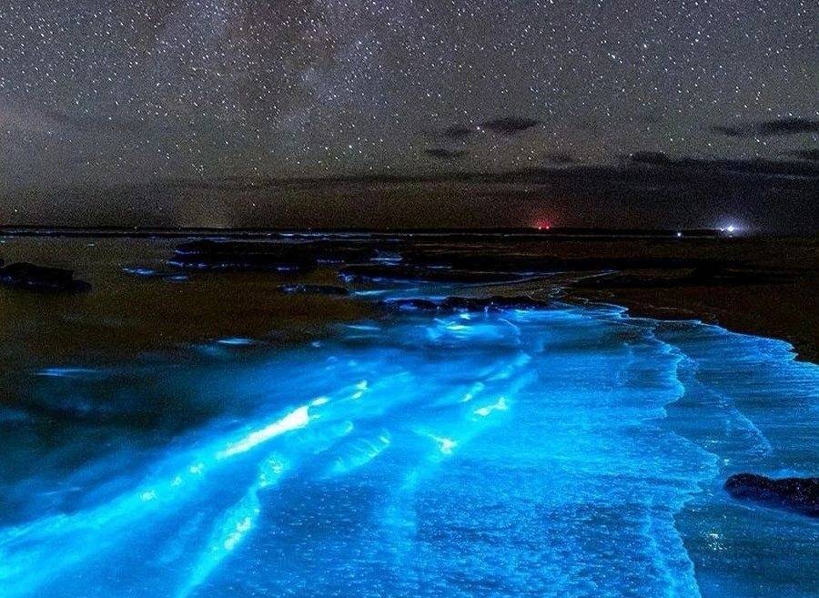 悠游平潭,在情都寻觅春日美景_荧光_风车_栈道