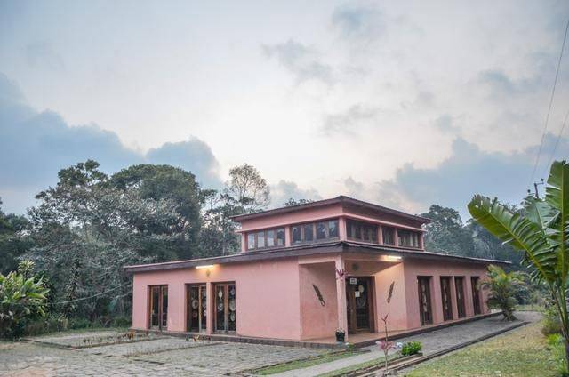 非洲丛林里的野奢度假别墅这样的小木屋你想来住吗太美了吧