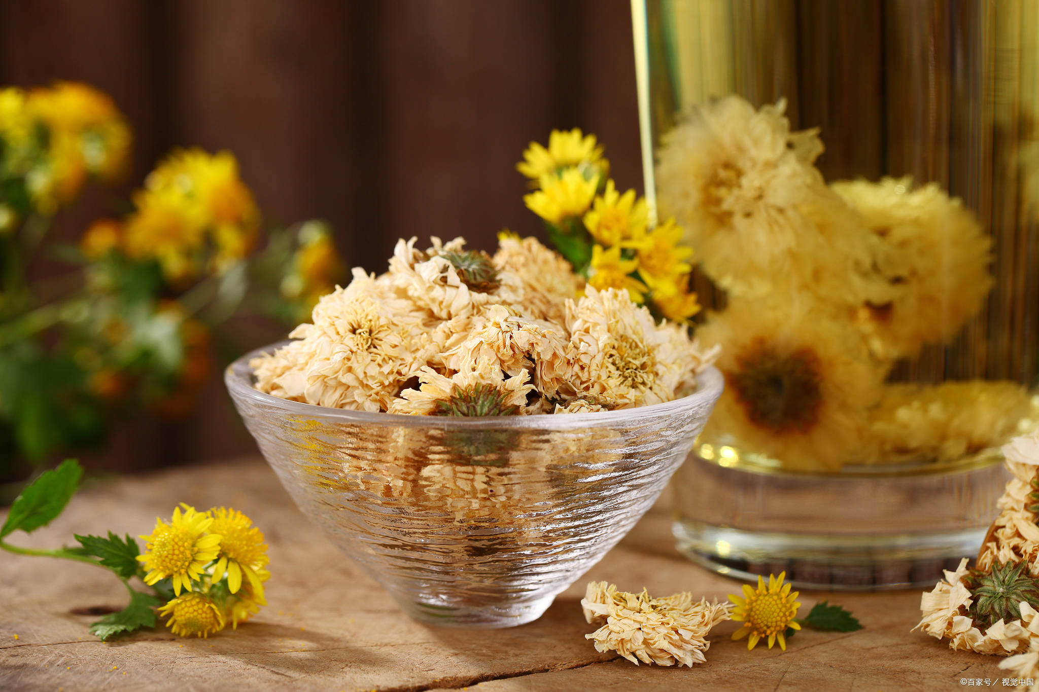 原创常喝菊花茶的好处很多但不适合这5类人