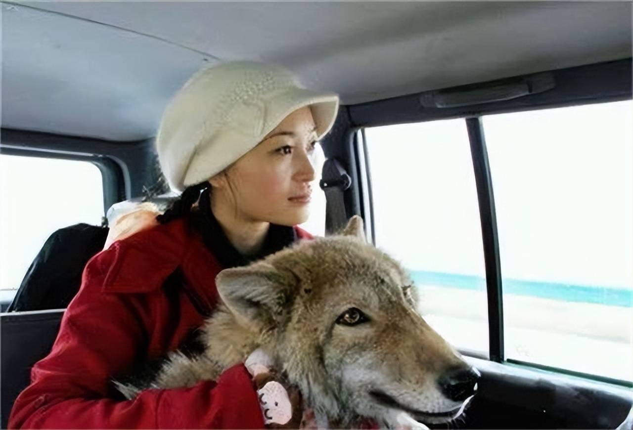 2010年,成都女孩养狼做"儿子",12年后结局催人泪下_格林_李微漪_草原