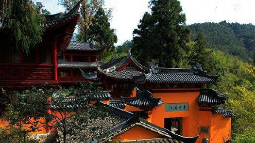 浙江一千年寺庙，拥有最古老的隋梅，游客免费参观