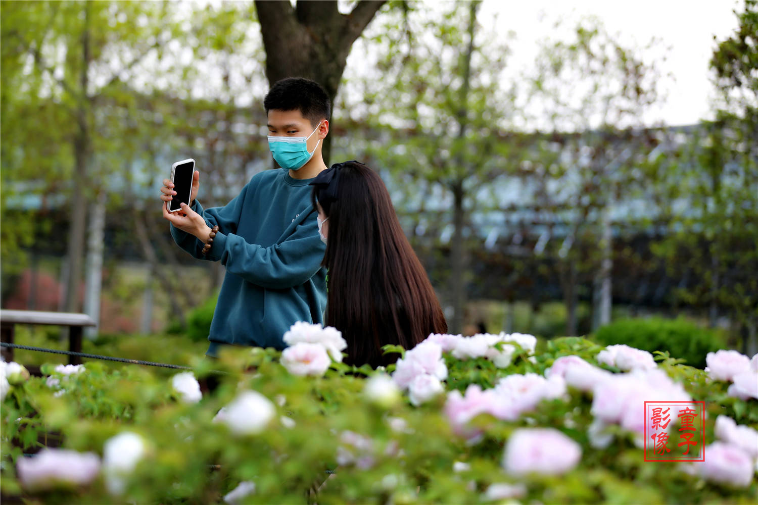 人间三月芳菲浓 洛阳牡丹盛开时