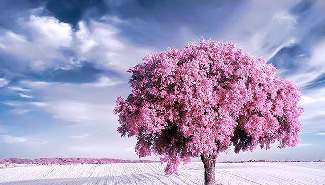 原创唯美有深意的空间句子满满正能量看了很受益