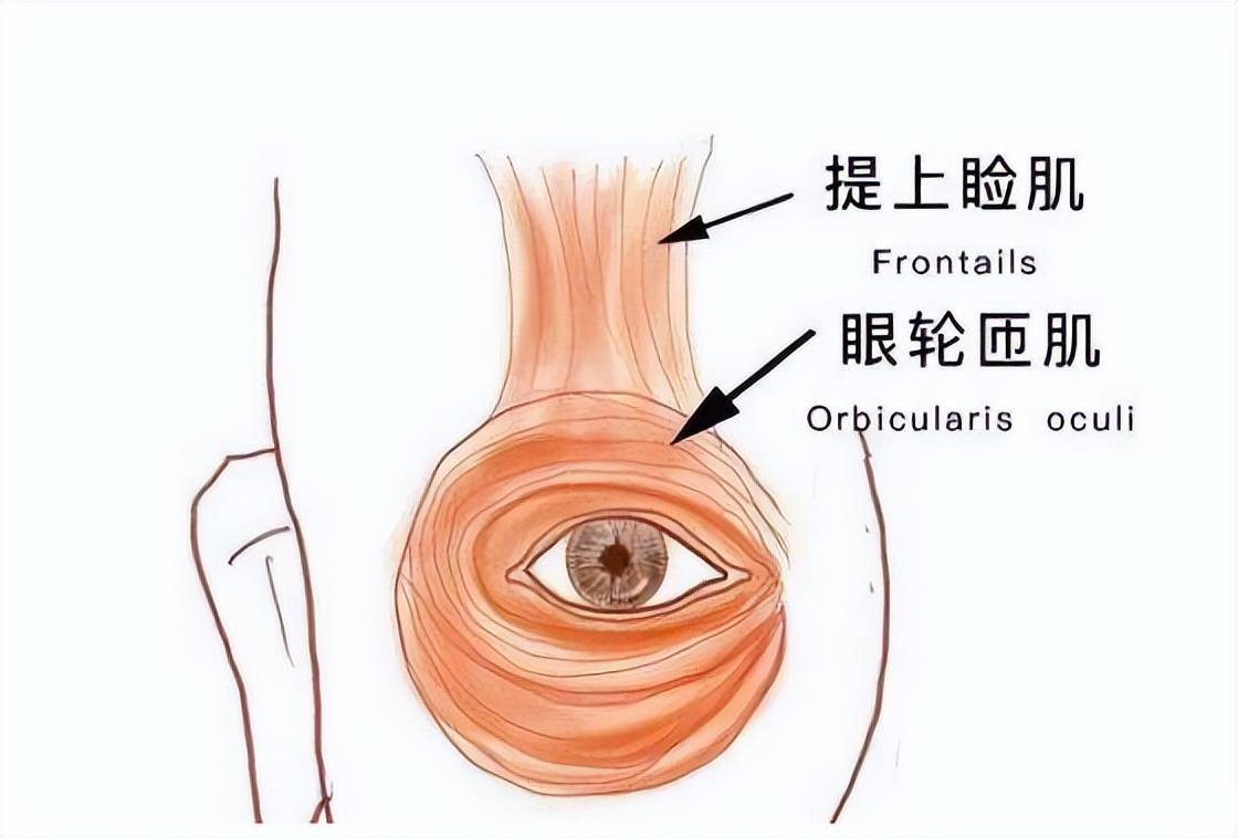 左眼跳財右眼跳災是真的嗎醫生揭秘的真相卻不簡單