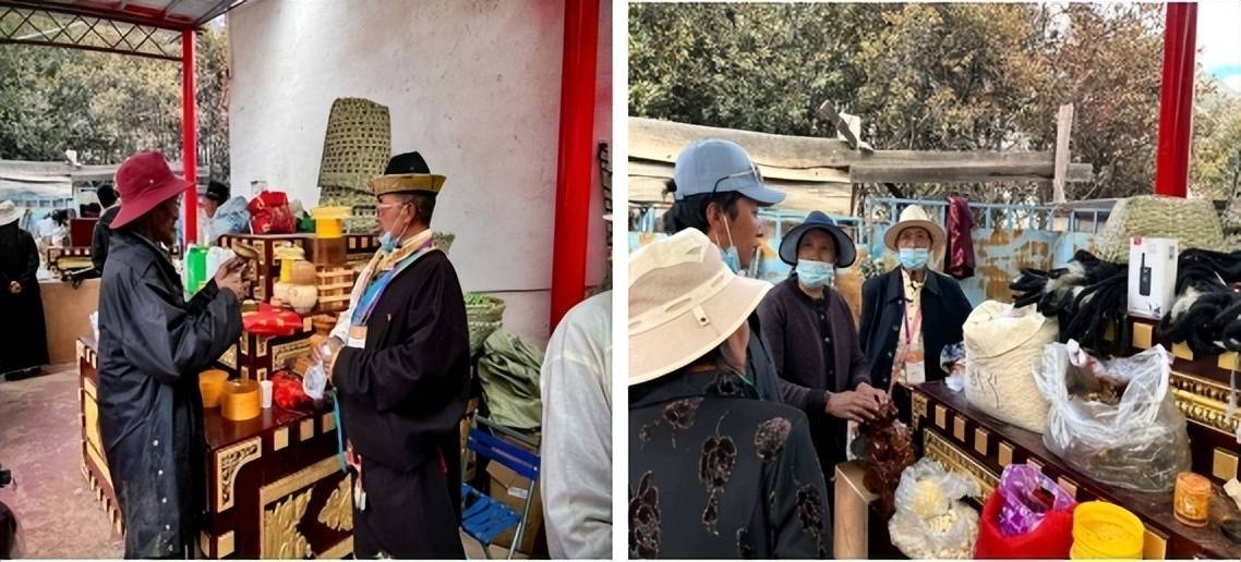 那曲市嘉黎县第七届"尼屋桃花节"启幕,万亩桃花含羞迎客_旅游_活动