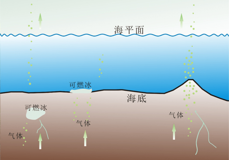 乐智小天地海洋探秘图片