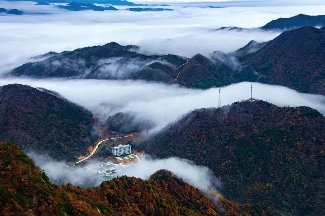 安慶漫步指南 · 一起踏春去_大別山_風景_映山紅