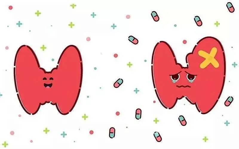 大部分甲状腺结节良性结节形态表现为椭圆形和圆形,如果显示甲状腺