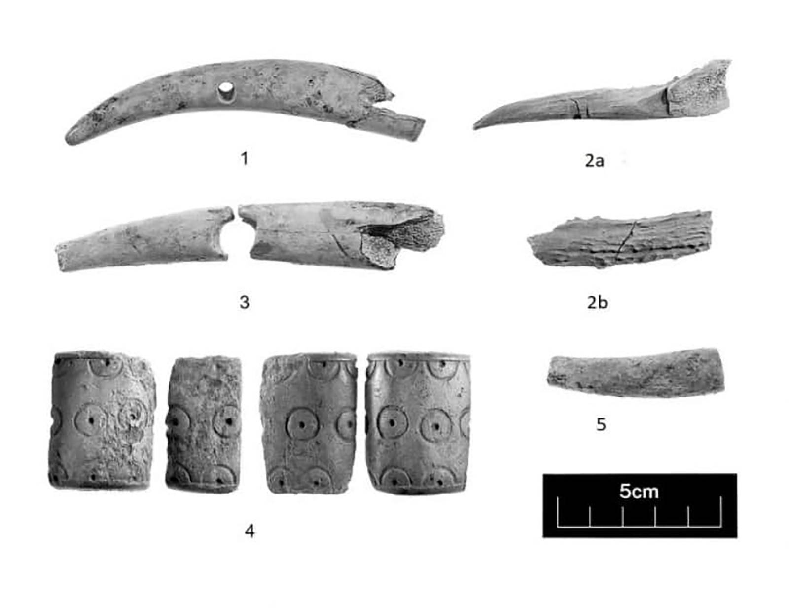 原創發現鐵器時代的時間膠囊大量保存完好的珍貴文物被髮掘出來