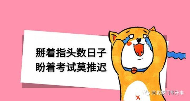 河北专升本教育部发话了毕业前完成专升本考试
