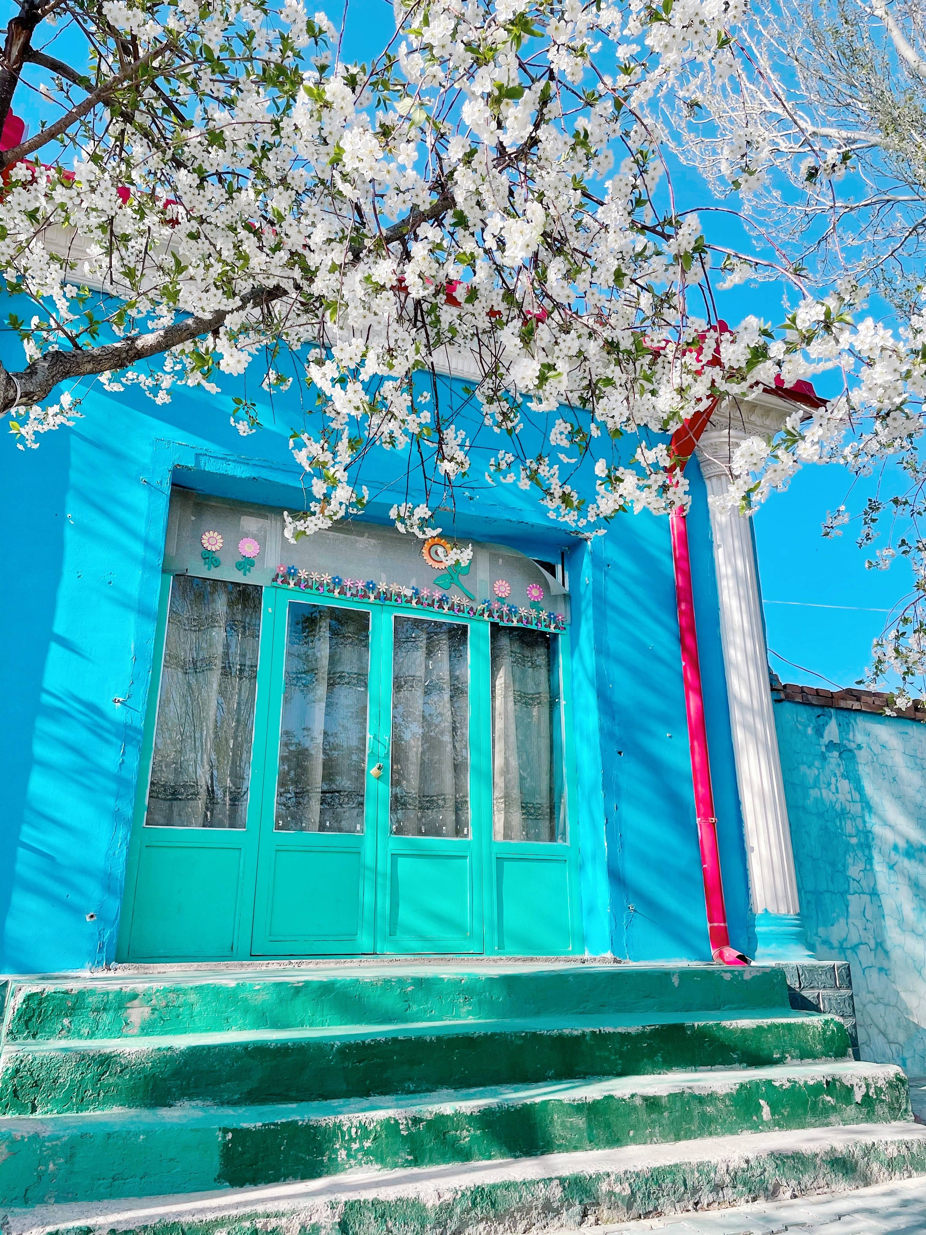 新疆宜居城市，被誉为西北江南，4月梨花开遍全城