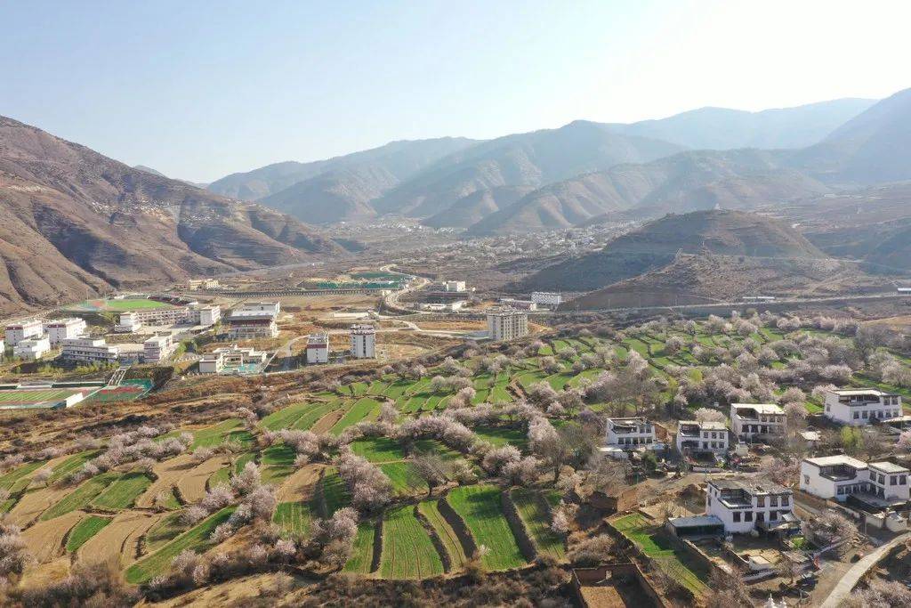 梯田中的桃花 岗让扎西 摄得荣县的白松应是甘孜州春天里最美的一幅画