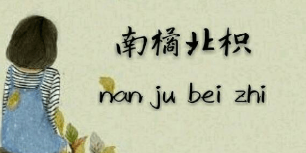 学习强国四人赛题库0191-0200：《富春山居图》的不幸与幸