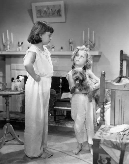 绿野仙踪中的托托是什么狗