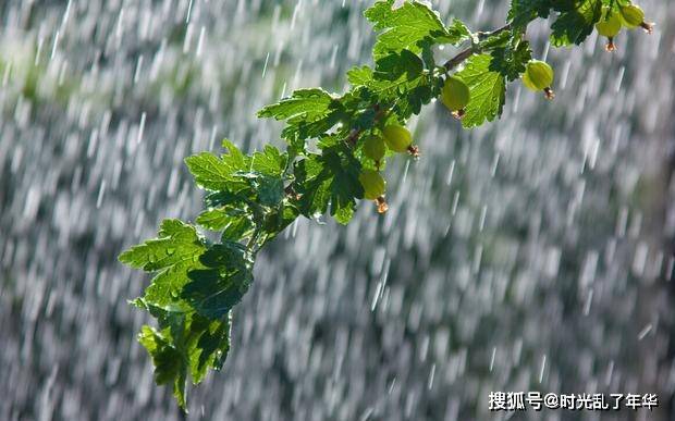 原創楊萬里的詩充滿了詩情畫意這首小雨看似尋常其實句句驚豔