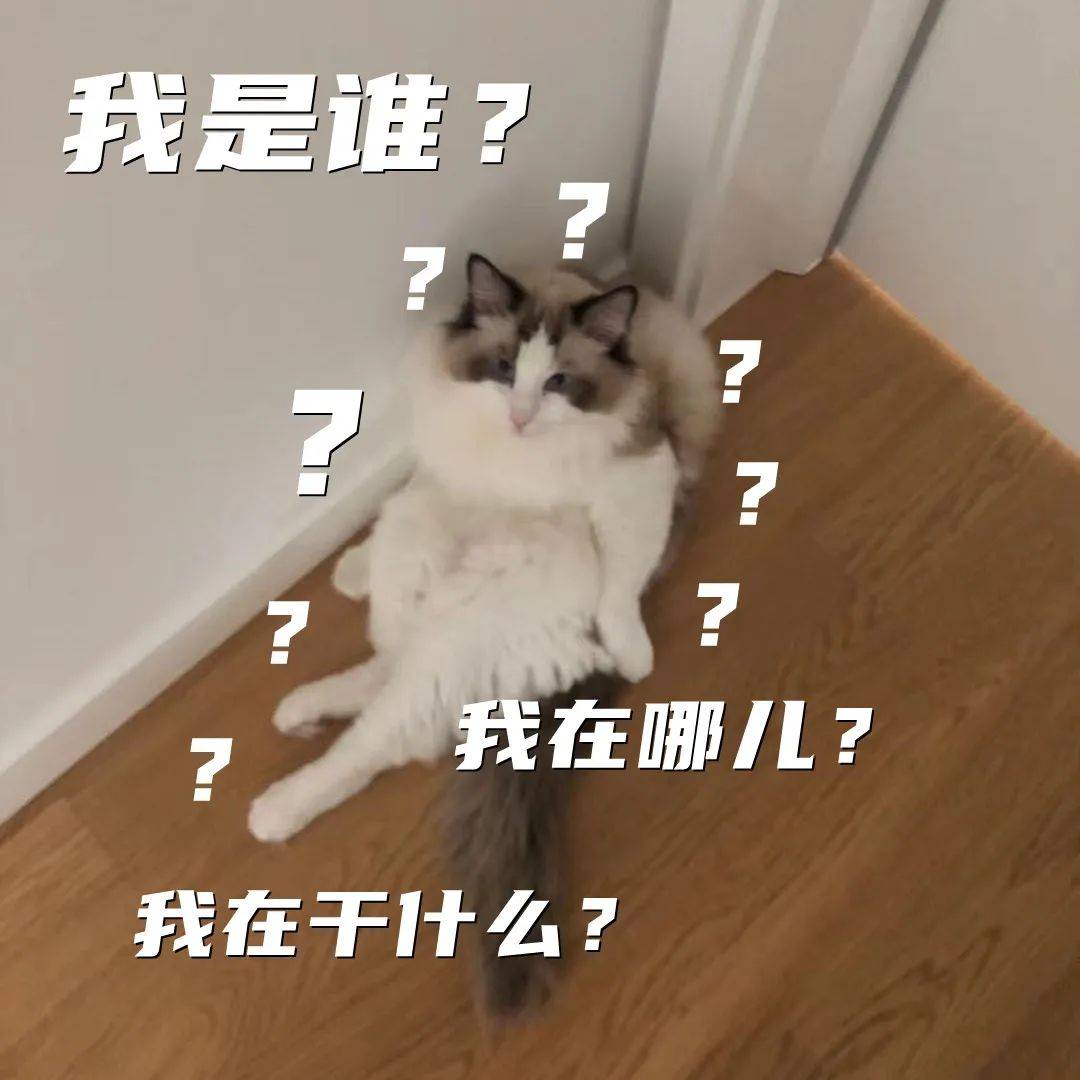 我是谁,我在哪,我在干什么……在网络上红极一时的"灵魂三问",如果