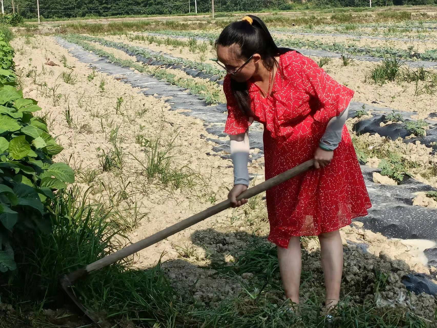 崇阳青山吴城:有这样一位田园追梦的纤纤者_程艳_群众_农业