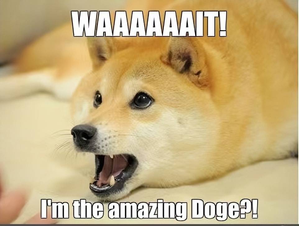 elon musk 在 abcnews 采访中提到了 多个meme 代币_马斯克_voto_埃隆