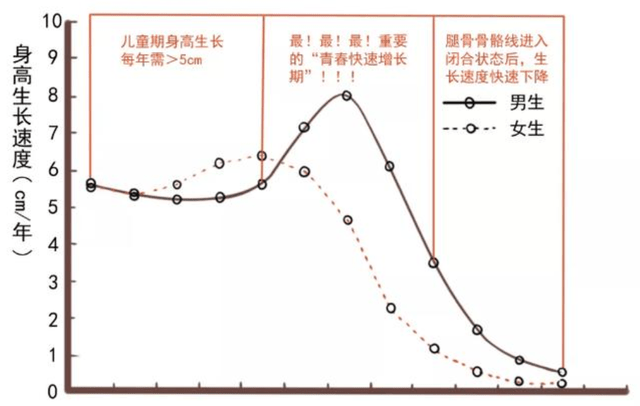 新版兒童身高發育參照表男孩女孩都有你家孩子達標了嗎