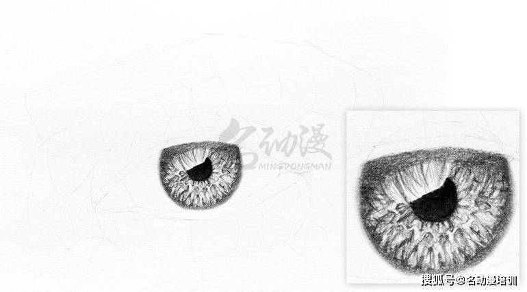 怎么绘画一双素描眼睛?(一)_瞳孔_边缘_图层