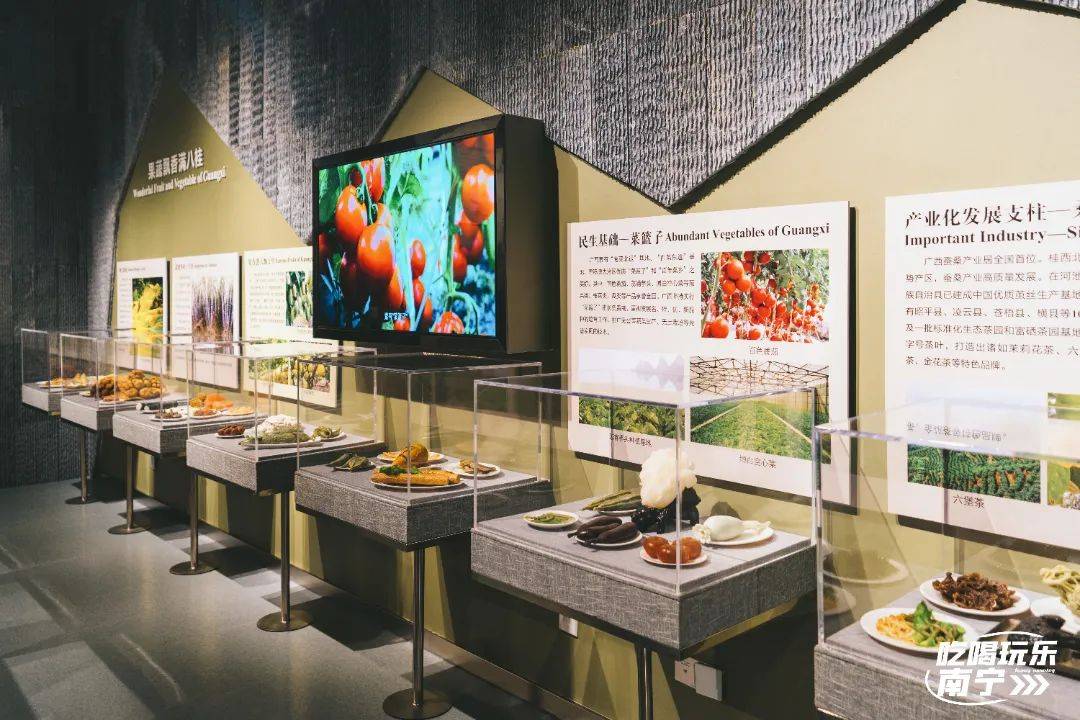 展館指南週末好去處廣西自然資源博物館