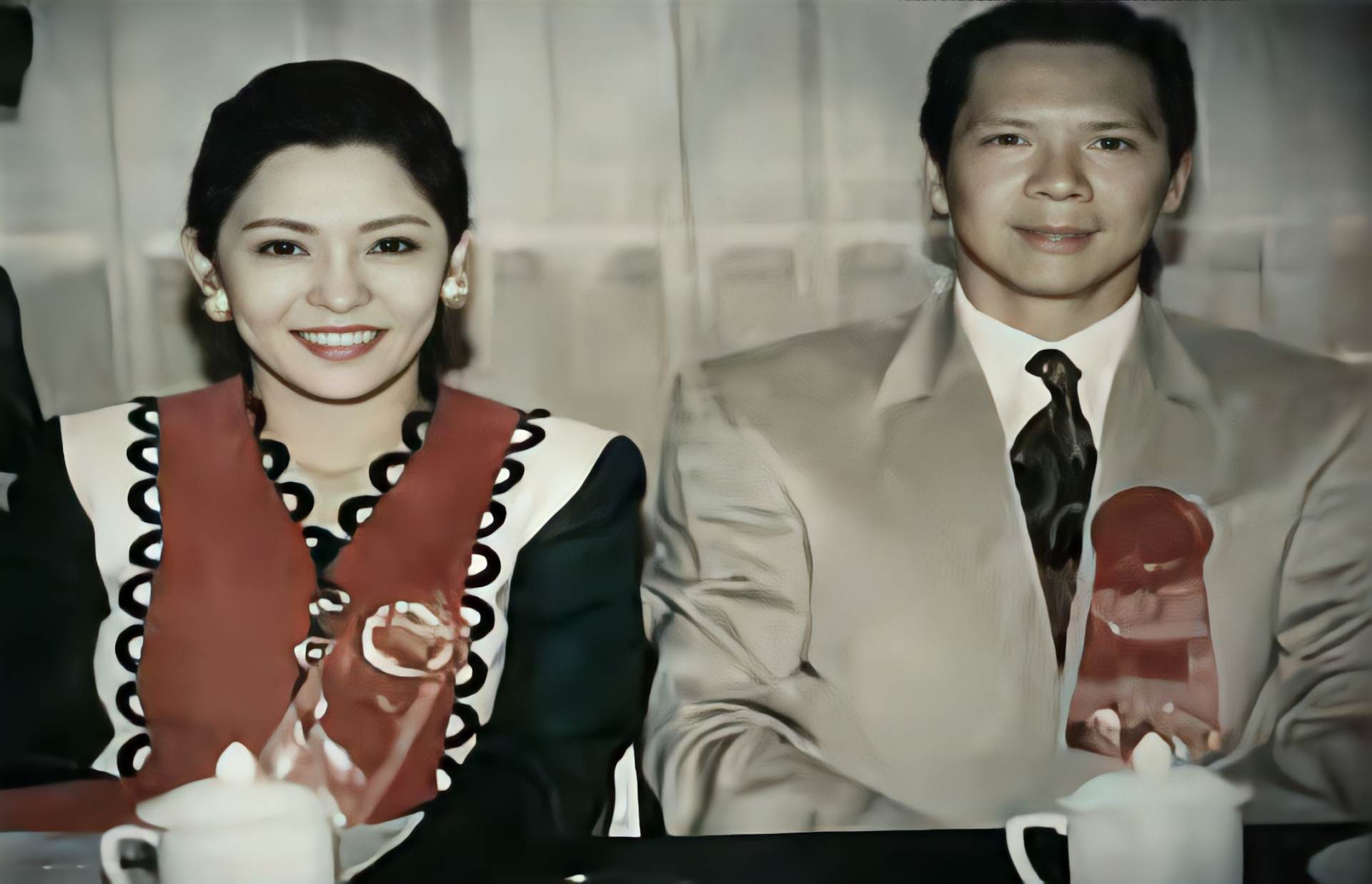 一代"女枭雄"陈岚的苦痛与深情!_向华强_孩子_家庭