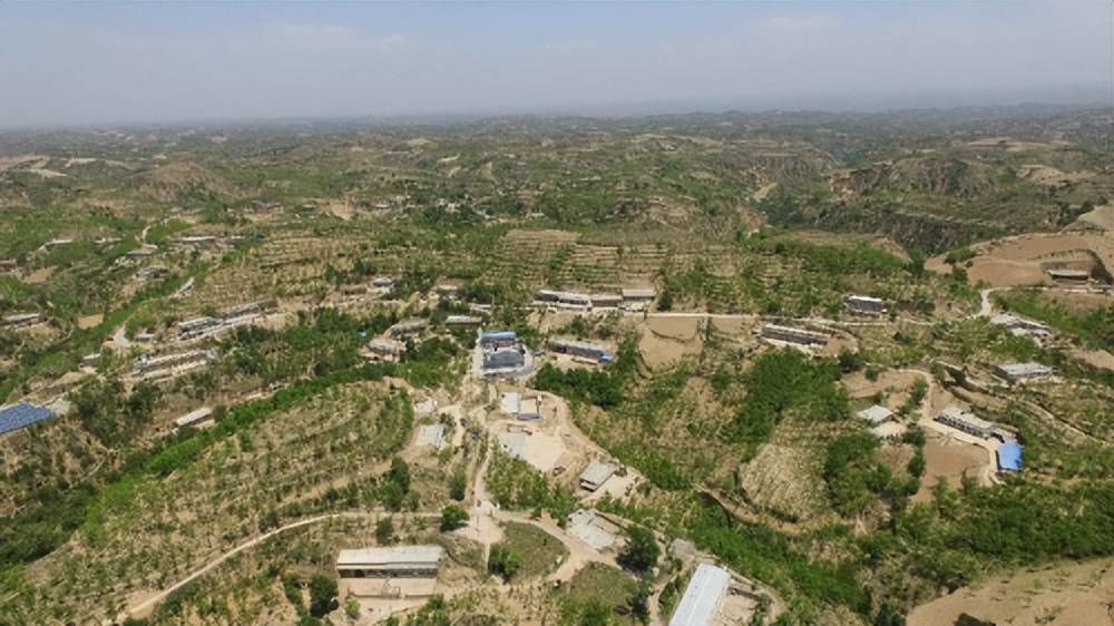 产业全覆盖 村民稳增收——佳县乌镇马家沟村产业发展之路_收入_集体