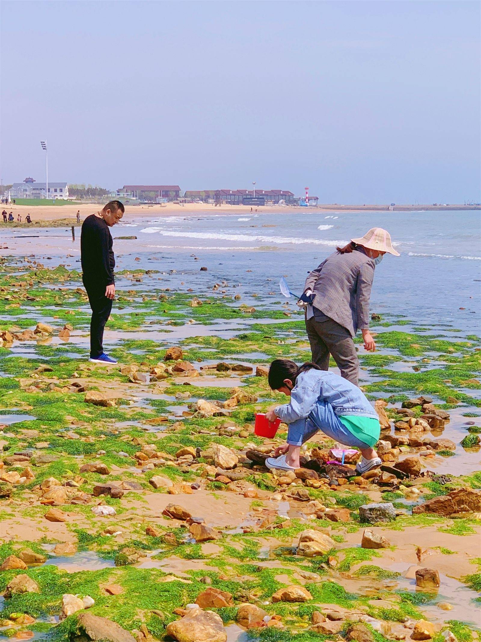 村大少赶海图片