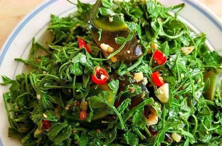 原创凉拌花椒芽的做法教你怎么做好吃不刺嘴